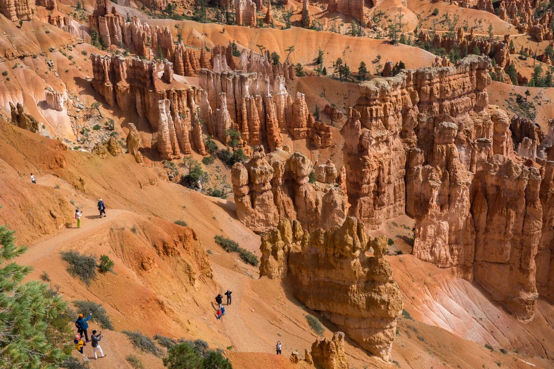 View 77b7ada7de12e8a175429492ea34ce88.jpg by phillip bolden