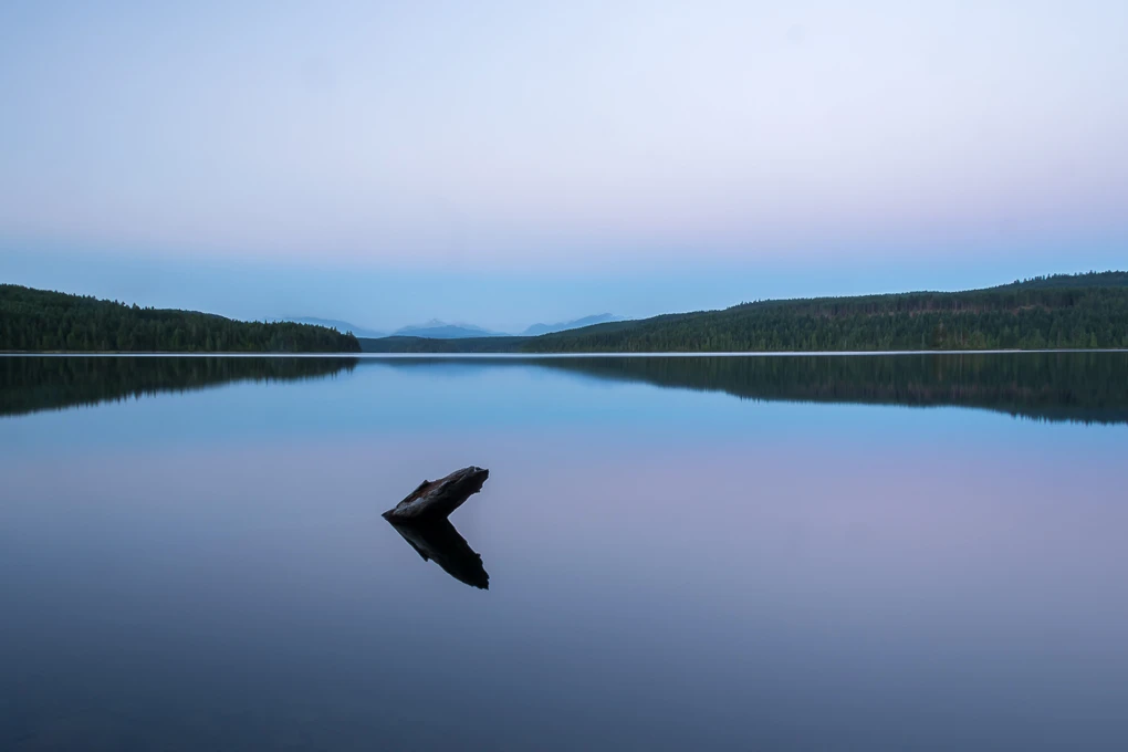 View early morning mohun lake by Tris White