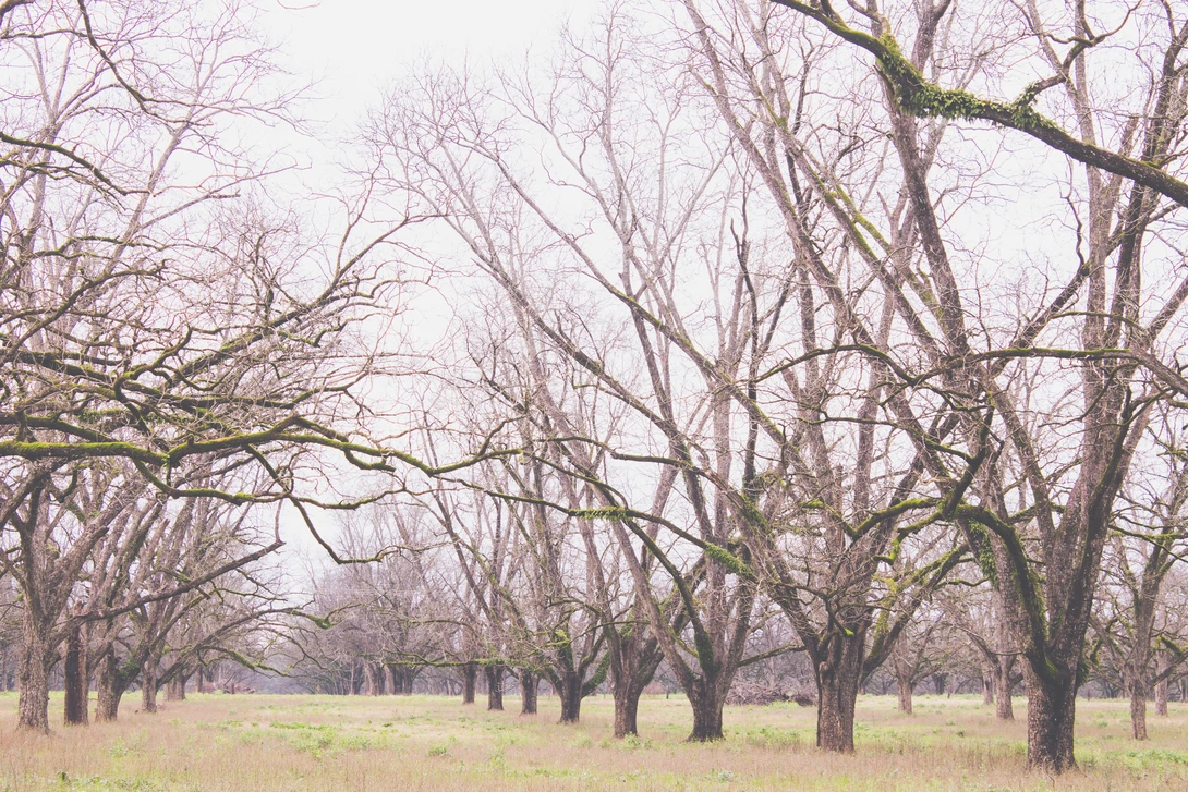 View 3907f17a8d115f5d2b35396f536e855c.jpg by Lauren Noblin