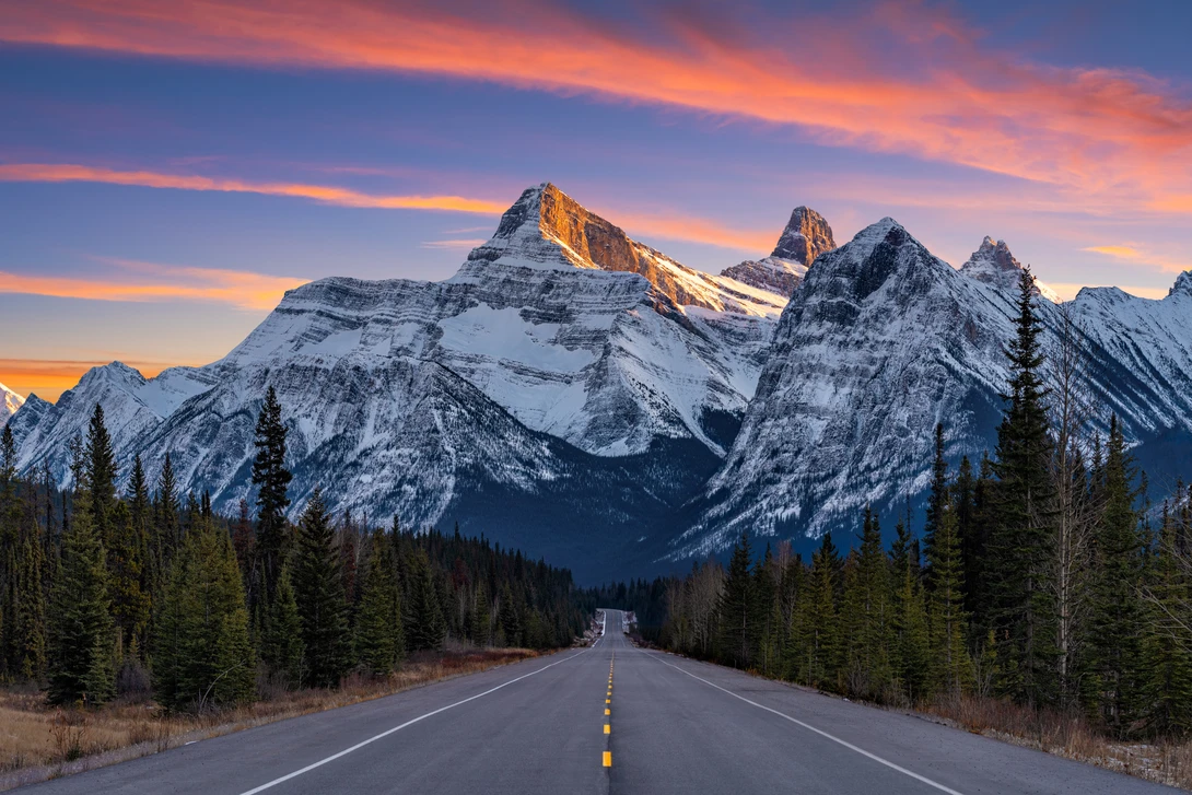 View Icefields Parkway by Chris Ward