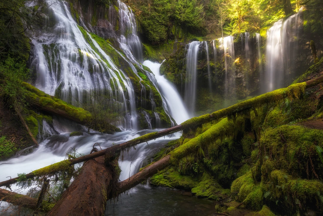View Panther Creek Falls by Chris Ward
