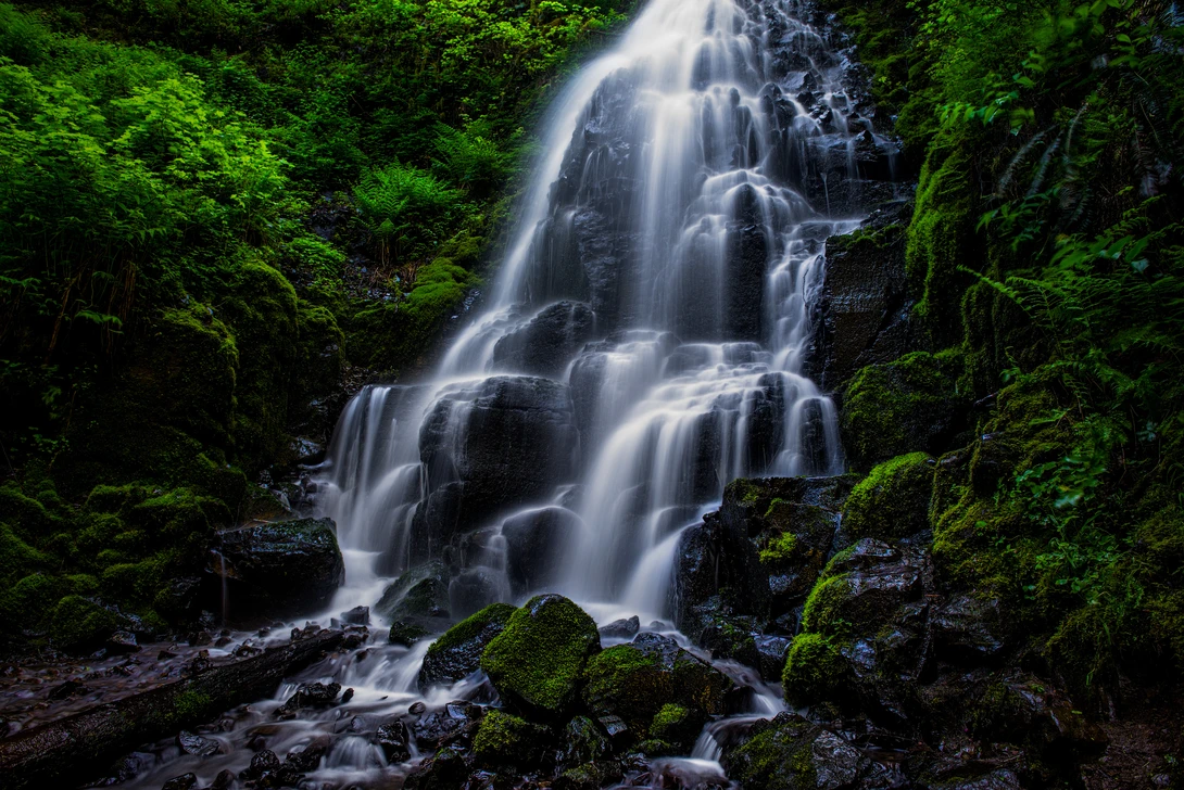 View fc303468f9647f6a0dd4546de3800806.jpg by Chris Ward