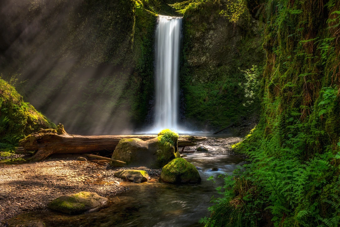 View Wiesendanger Falls by Chris Ward
