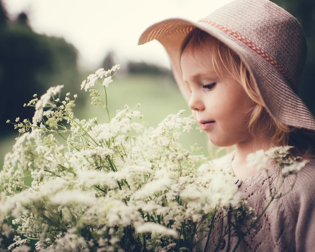 View Wild chervil by Christian Isakson