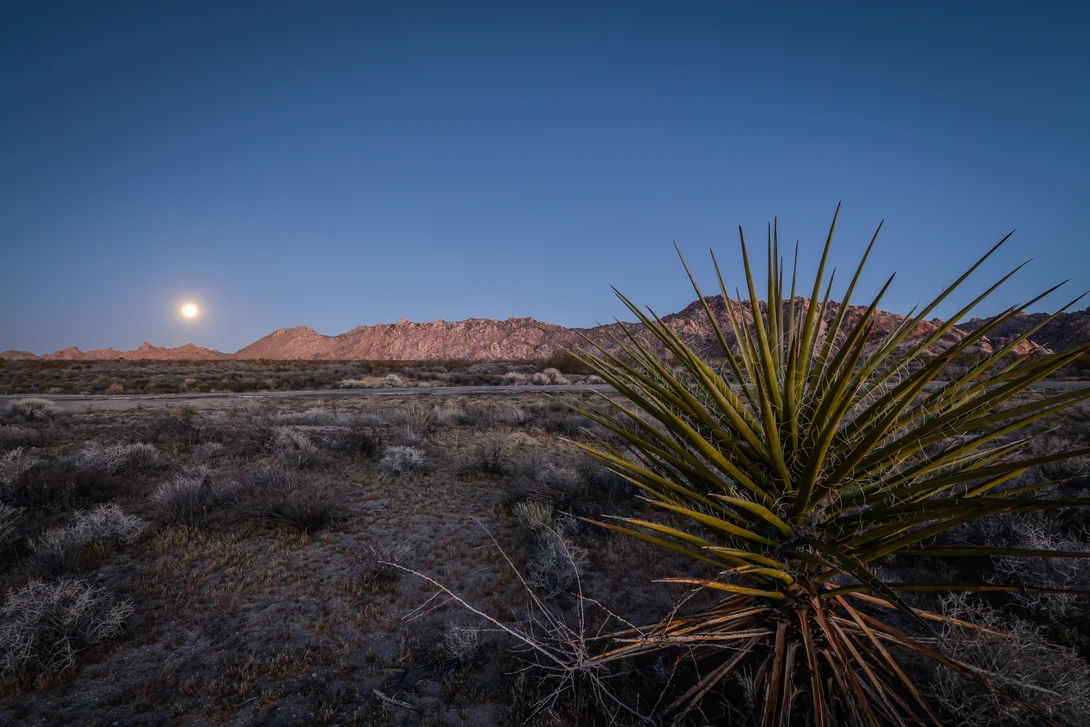 View 5de77beb45bb2e72ae3e5aa63d132f94.jpg by Ryan Huber