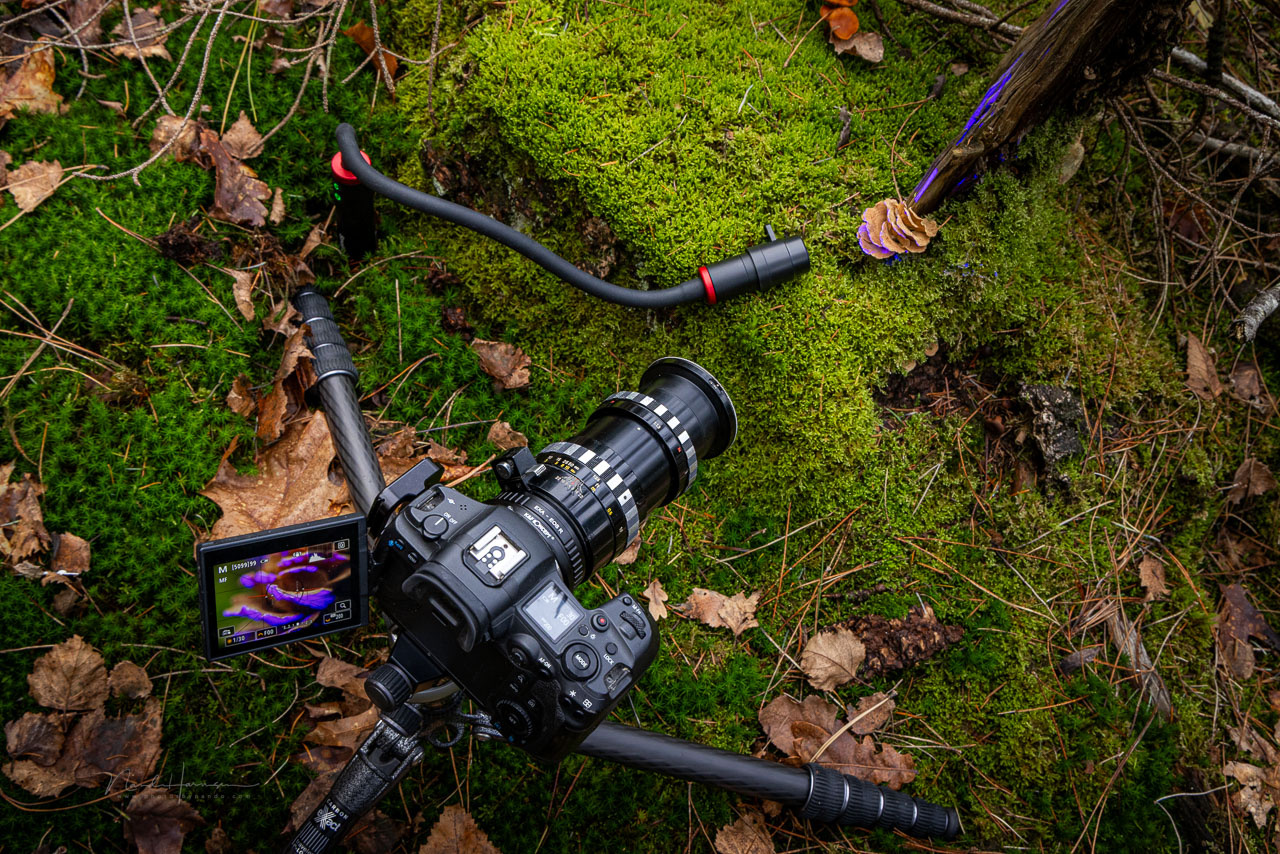 Field Test: SmallRig RM 03 Macro Photography LED Light for Close-Up ...