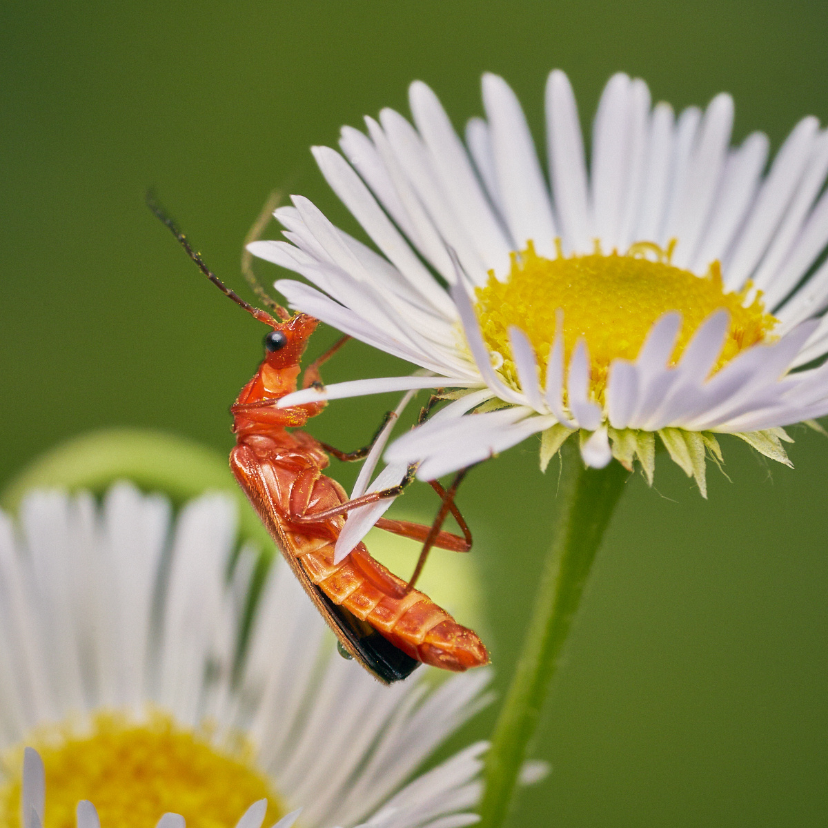 022dd494103e50e0aa762c50d41888e3.jpg by Gion-Andri Derungs | Fstoppers
