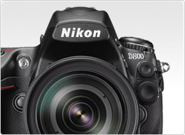 nikon d800 rumor