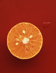 Lisa Hubbard, still life photography, FS Spotlight, Reese Moore, fstoppers