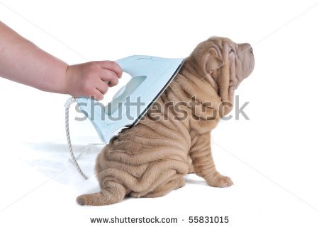 awkward stock photos will make you re evaluate stock photography