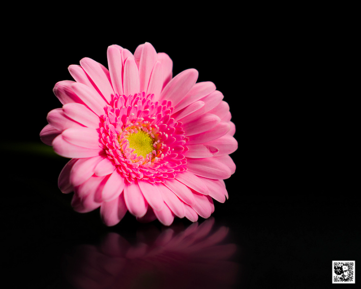 Image by Paul Monaghan