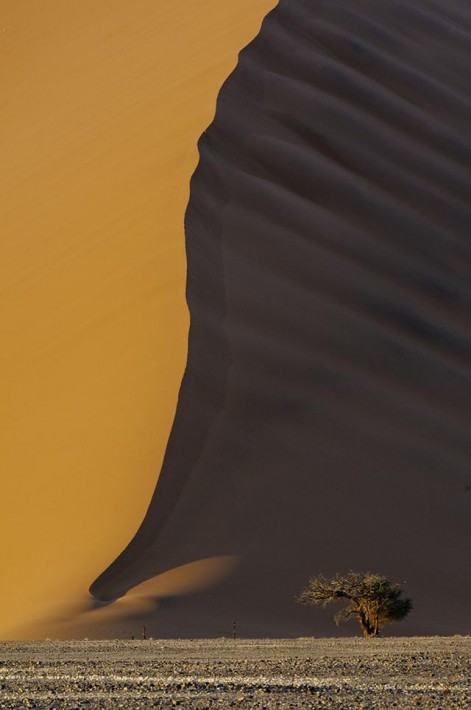 Smithsonian-photo-contest-travel-sand-dunes-namibia-bob-bush