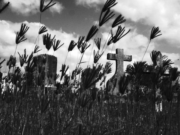 suncloud_006