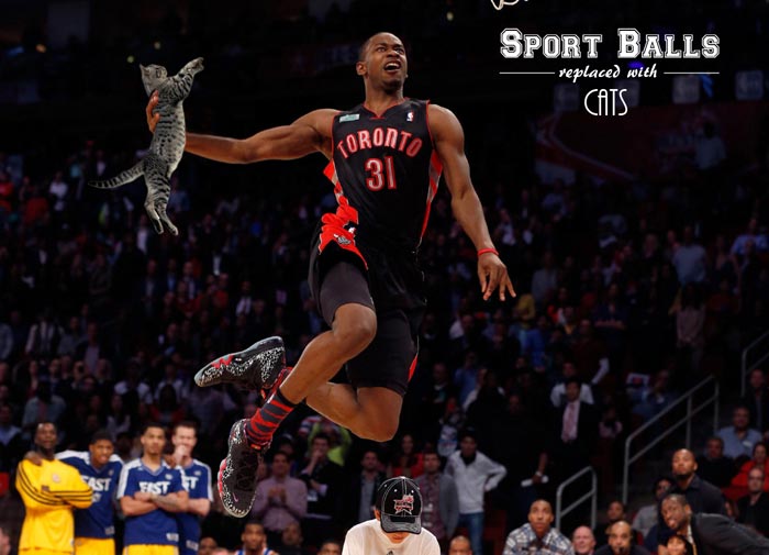 sportsballs06