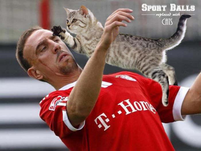 sportsballs08