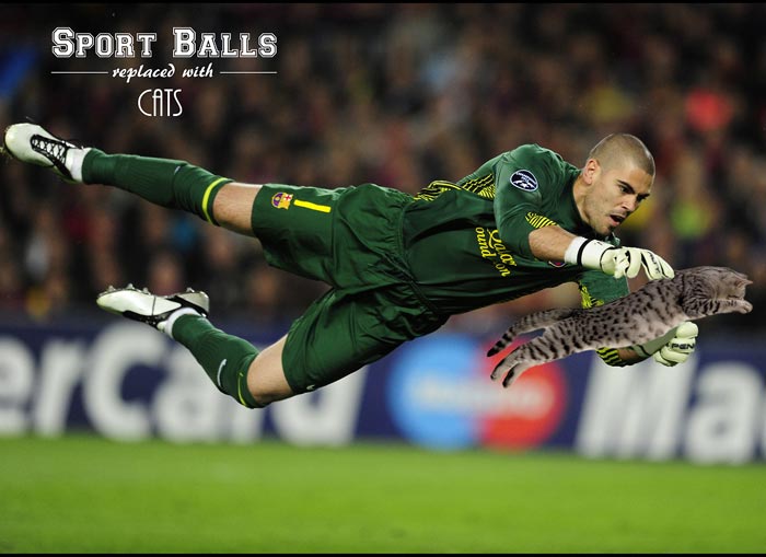 sportsballs09