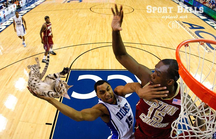sportsballs10