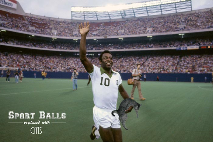 sportsballs12