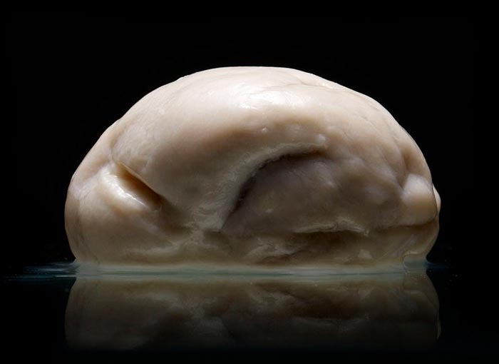 AdamVoorhes_Brains08