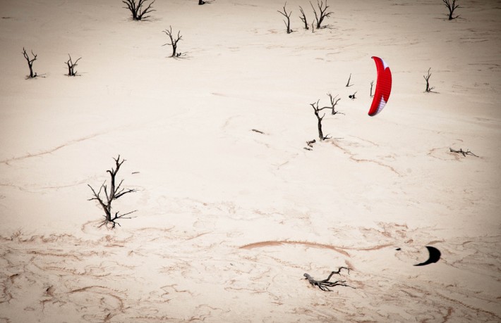 Flying among the dead