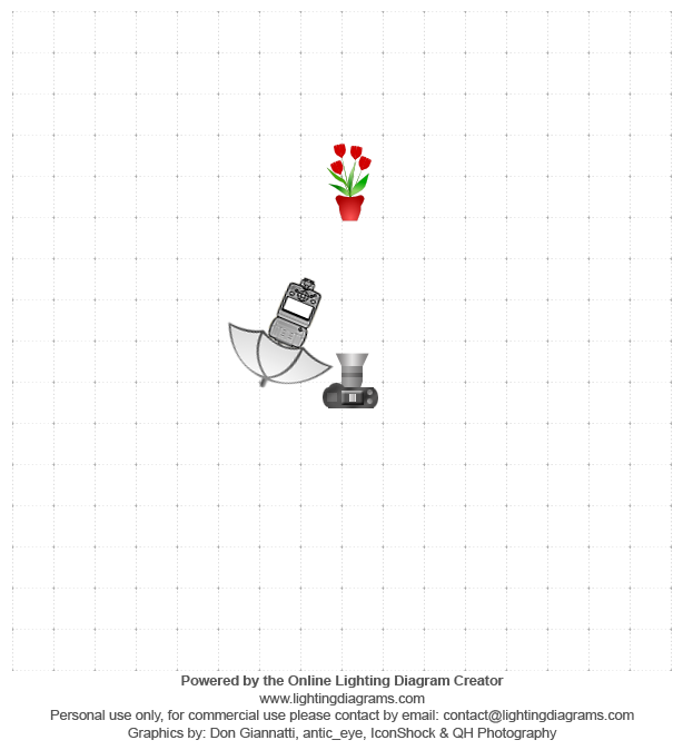 lighting-diagram-1372794617