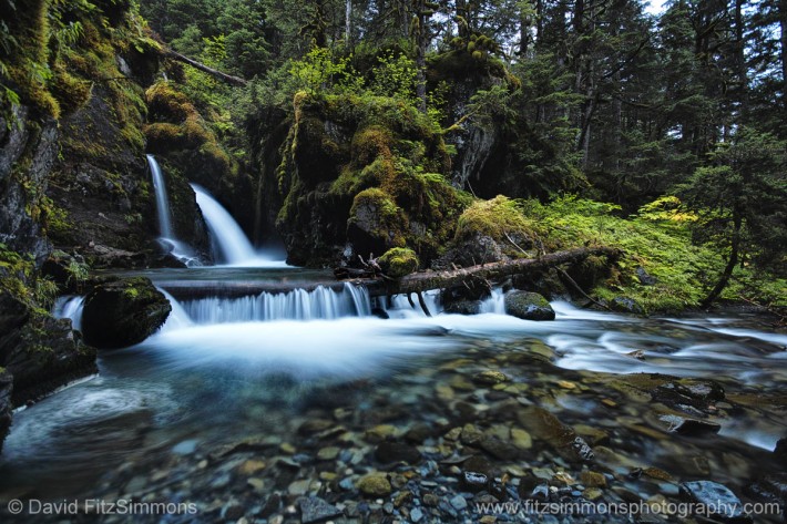 DavidFitzSimmons_10-20mm