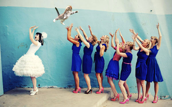 Fstoppers Brides Throwing Cats 2