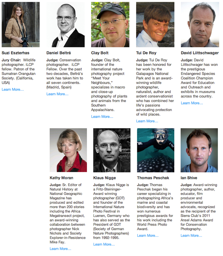 cal academy big picture judges