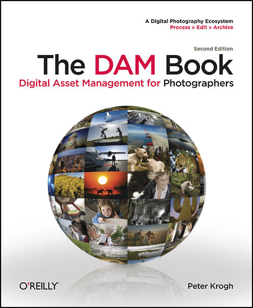 DAM_Book_Cover