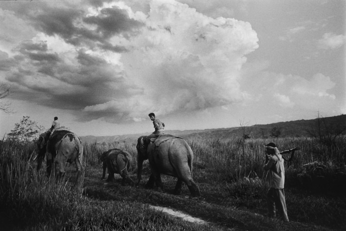 Trading to Extinction-Book