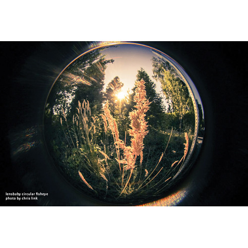 lensbaby fisheye photo by chris link woods